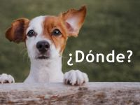 __Donde_